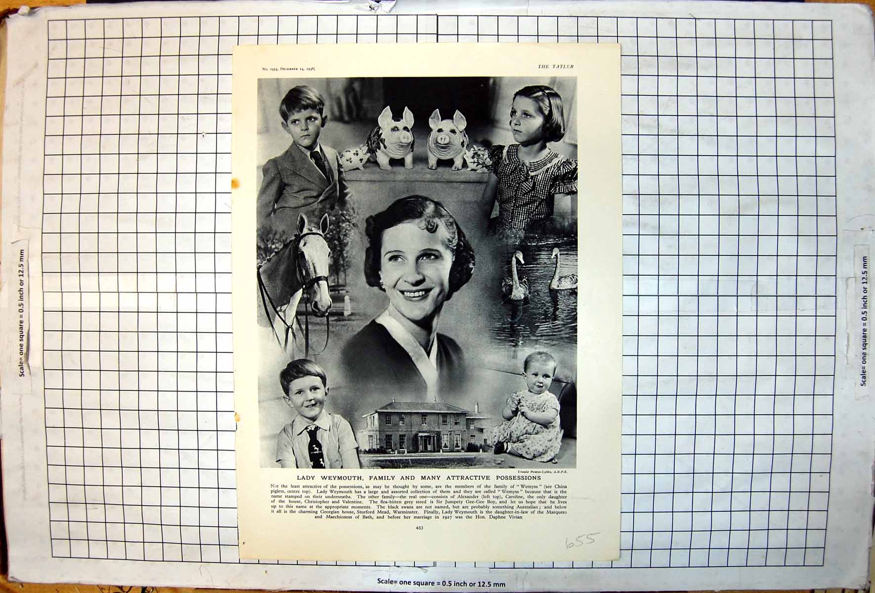 Old Lady Weymouth Family Wemyss Pigs House Swans Horse Children 1938 20th