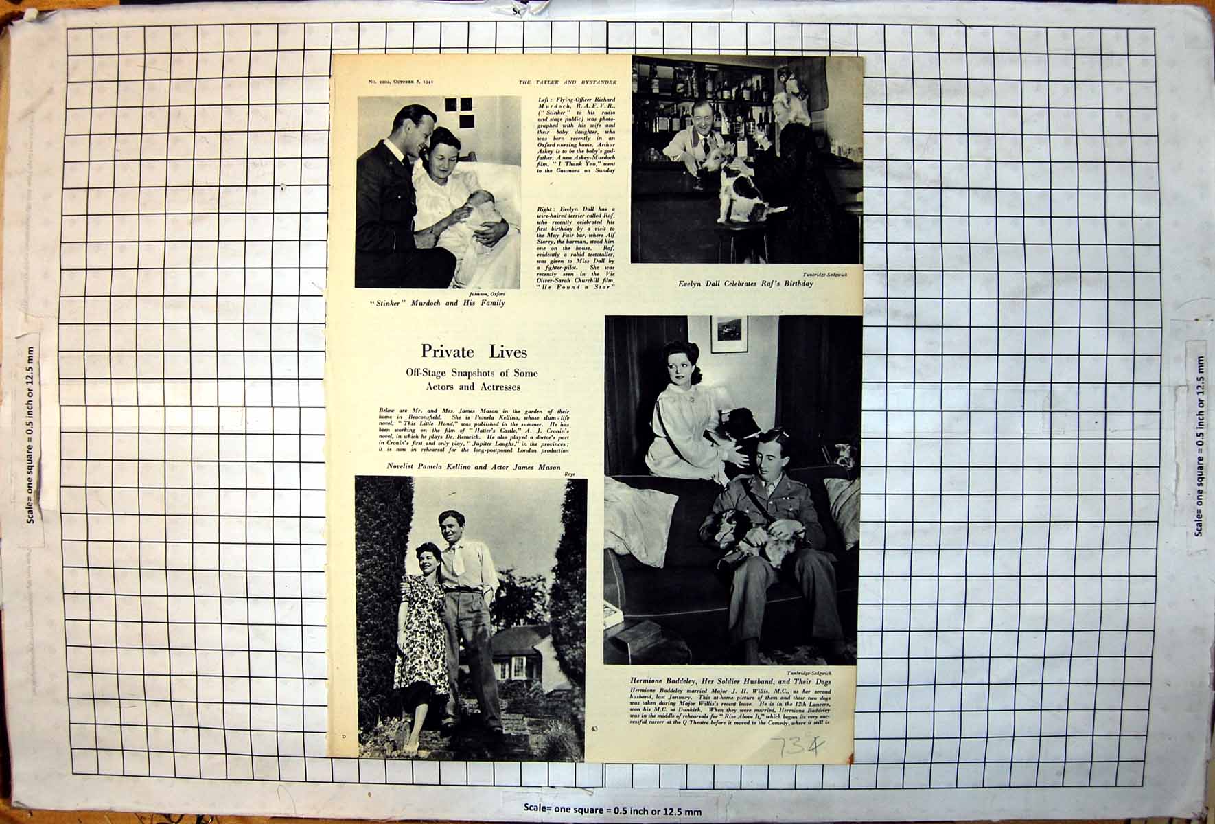Old Print Stinker Murdoch Evelyn Dall Raf Pamela Kellino James Mason 1941 20th