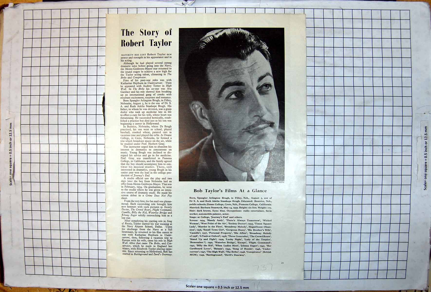 Antique Old Print Bob Taylor Portrait Photo Mgm List Films Robert Information