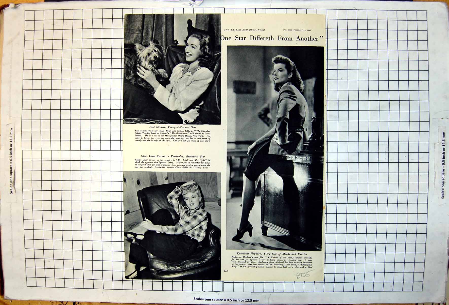 Old Rise Stevens Dog Lana Turner Reclining Katharine Hepburn Sits 1942 20th