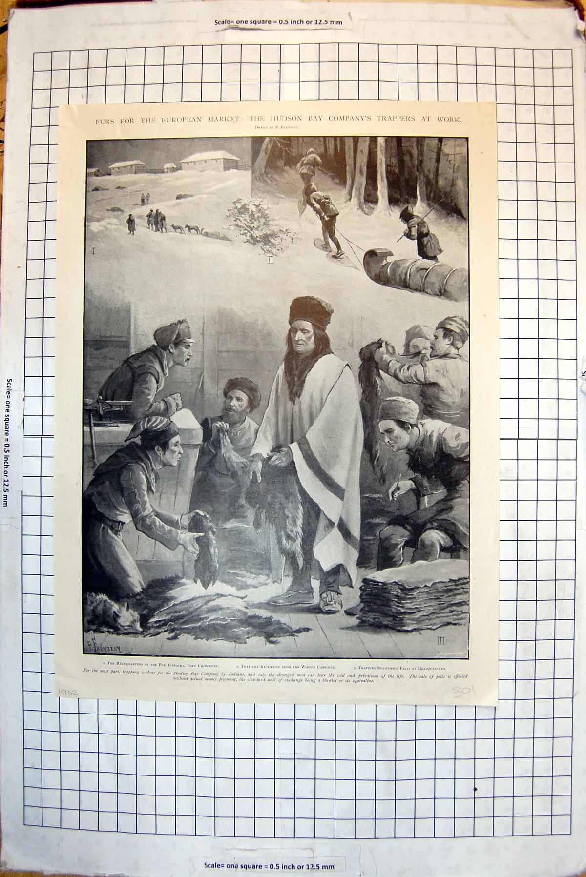 Old Furs European Market Hudson Bay Co Trappers Brescian Herdsman1902 20th