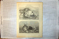 Antique Old Print Passages Voyage Life Felix Miller Age Death Lake Thun 1853