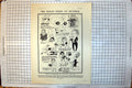 Old Boxing Olympia Baroness Furnivall Betty Bewelly Mrs T Powell 1919 20th