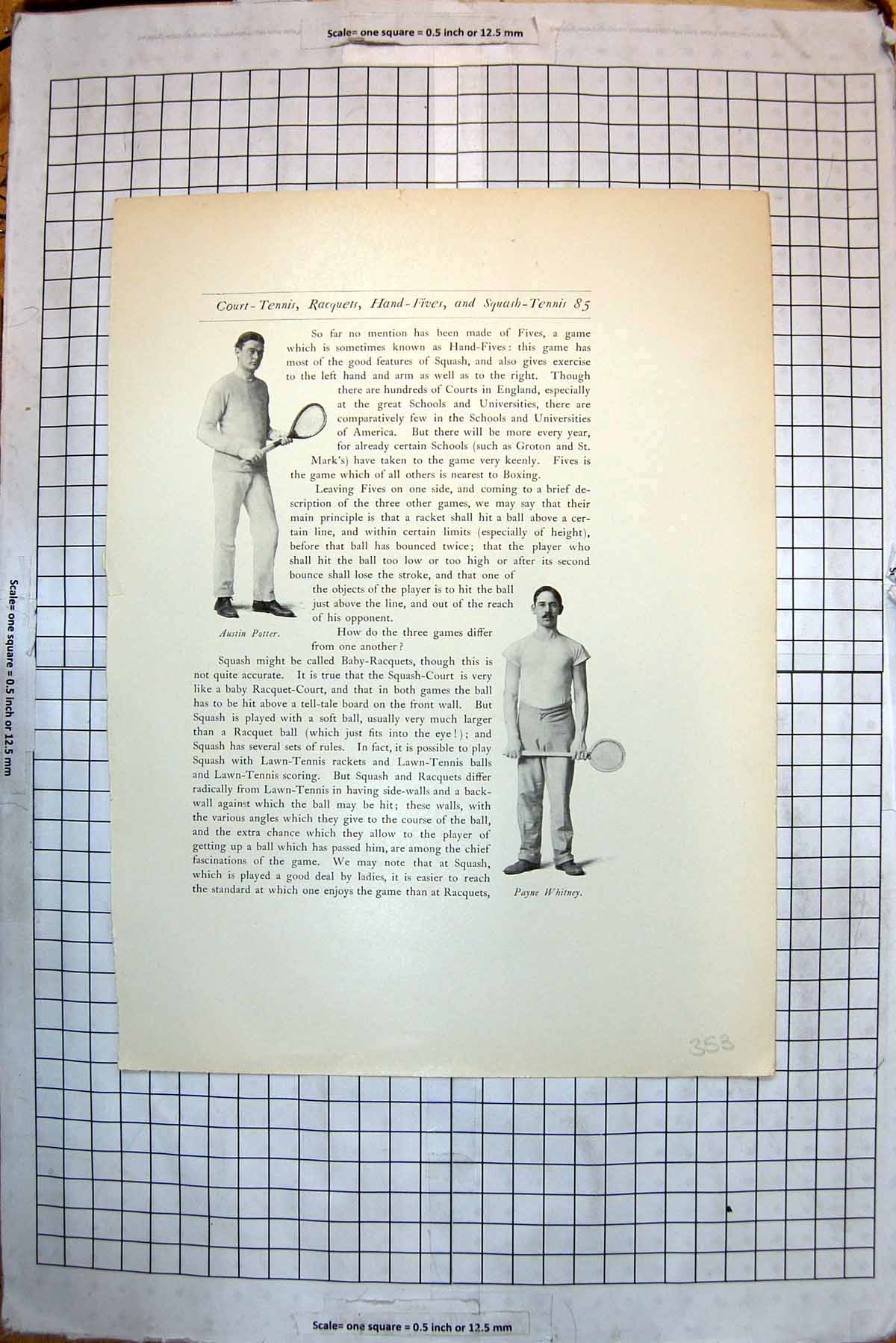 Original Old Antique Print Tennis Austin Potter Payne Whitney Arthur Hunnewell
