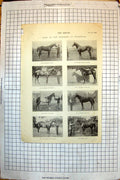 Antique Print Goodwood Lord Wolverhamptons Ugly Cricket Young Worrall 1899 19th