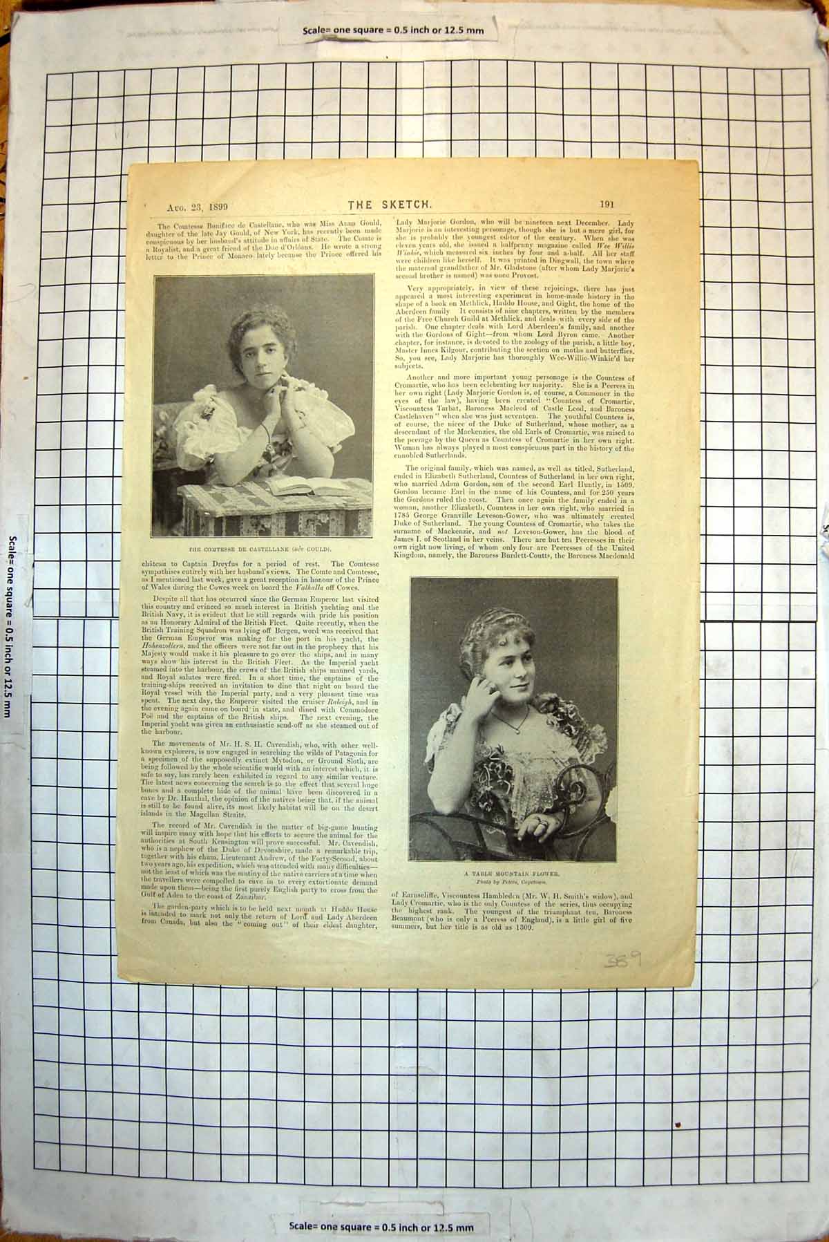 Old Comtesse De Castellane Gould Final Test Match Jackson Hayward1899 Victorian