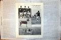 Old Meet West Surrey Horsell Beagles Rowing Teams Oxford Cambridge192 20th