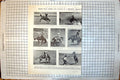 Old Rodeo Wembley Cowgirl England V South Africa Test Edgbaston 1924 20th
