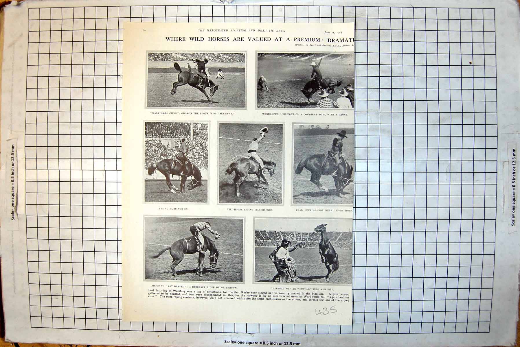 Old Rodeo Wembley Cowgirl England V South Africa Test Edgbaston 1924 20th