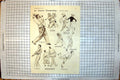 Old Golf Championship Ladies Thirty Club Claridges Mrs Hunter Boggon1