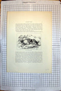 Original Old Antique Print Maida Dog Guarding Stick 1827 Dead Stag 1824 19th