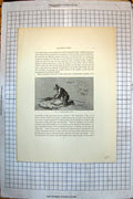 Original Old Antique Print Sheep Shearing 1813 Asleep 1814 Threepigs Straw 19th