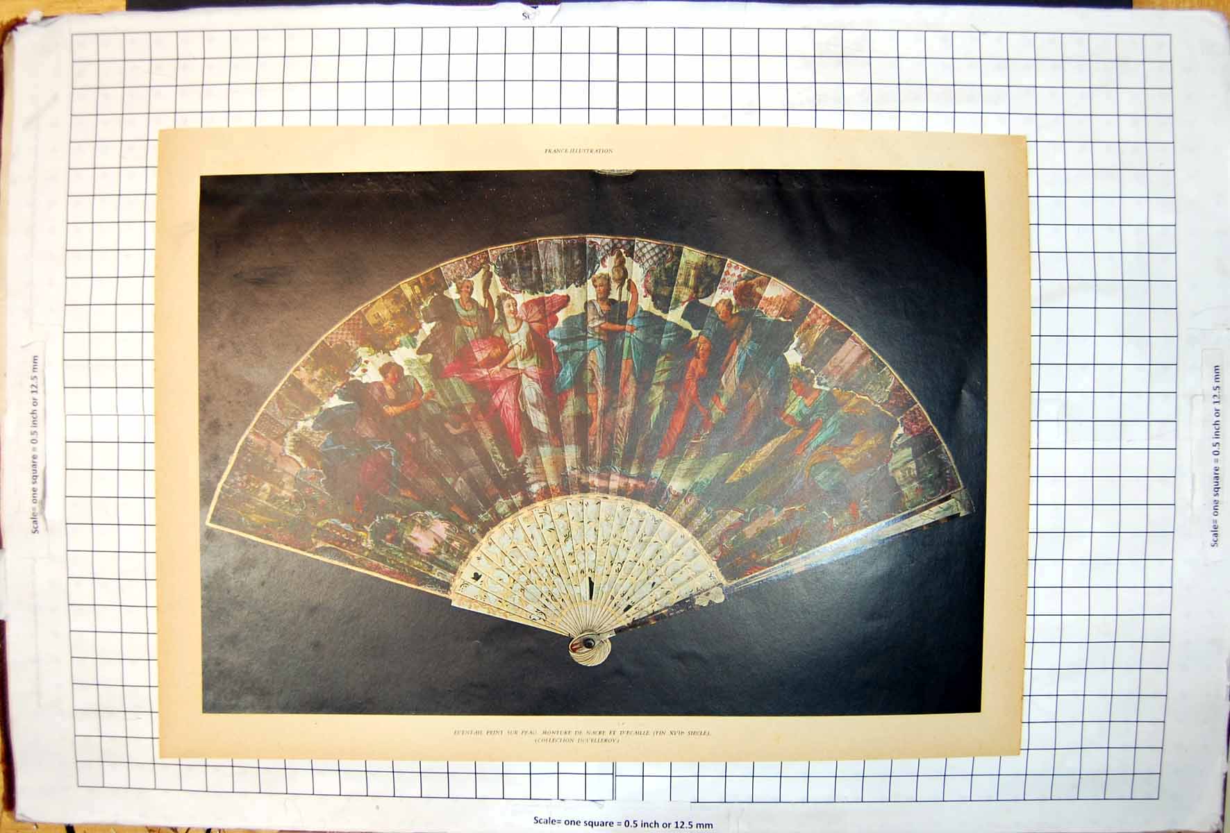 Old Fan Eventail Peau Monture De Nacre D'Ecaille Collection Duvellero
