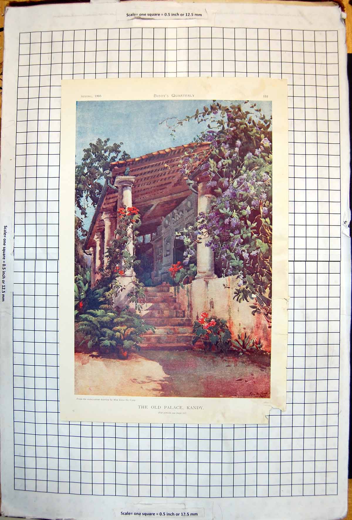 Original Old Antique Print Palace Kandy Ella Du Cane Bibbys Quarterly 1905 20th
