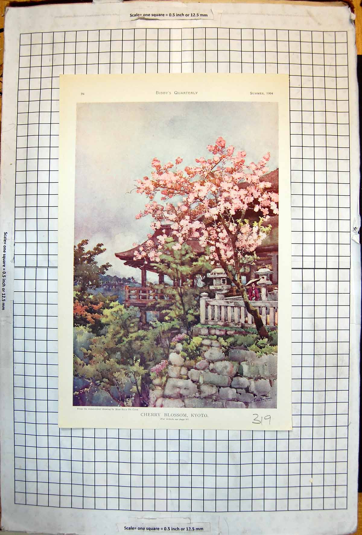 Old Cherry Blossom Kyoto Ella Du Cane Plucking Ostrich Feathers 1904 20th