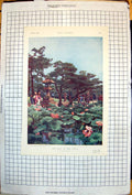 Old Time Lotus Japanese Ladies Ella Du Cane Child What Will He Become