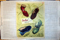 Old Lotus Shoes Hercules Bicycles Goya Fragrance Bond St London 1949 20th