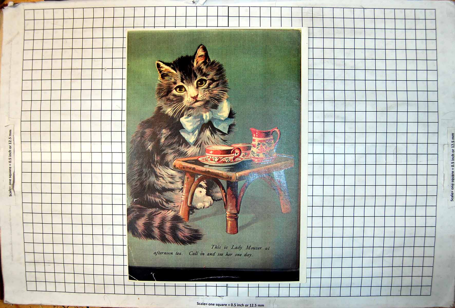 Antique Print Lady Mouser Afternoon Tea Cat Blue Bow Fluffy Colour Portrait