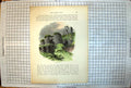 Antique Old Print Picturesque Europe Corfe Caste Colour Arches Ruins Grassy