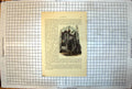 Antique Old Print Strathmartine'S Lodgings Dundee Exterior Buildings Washing