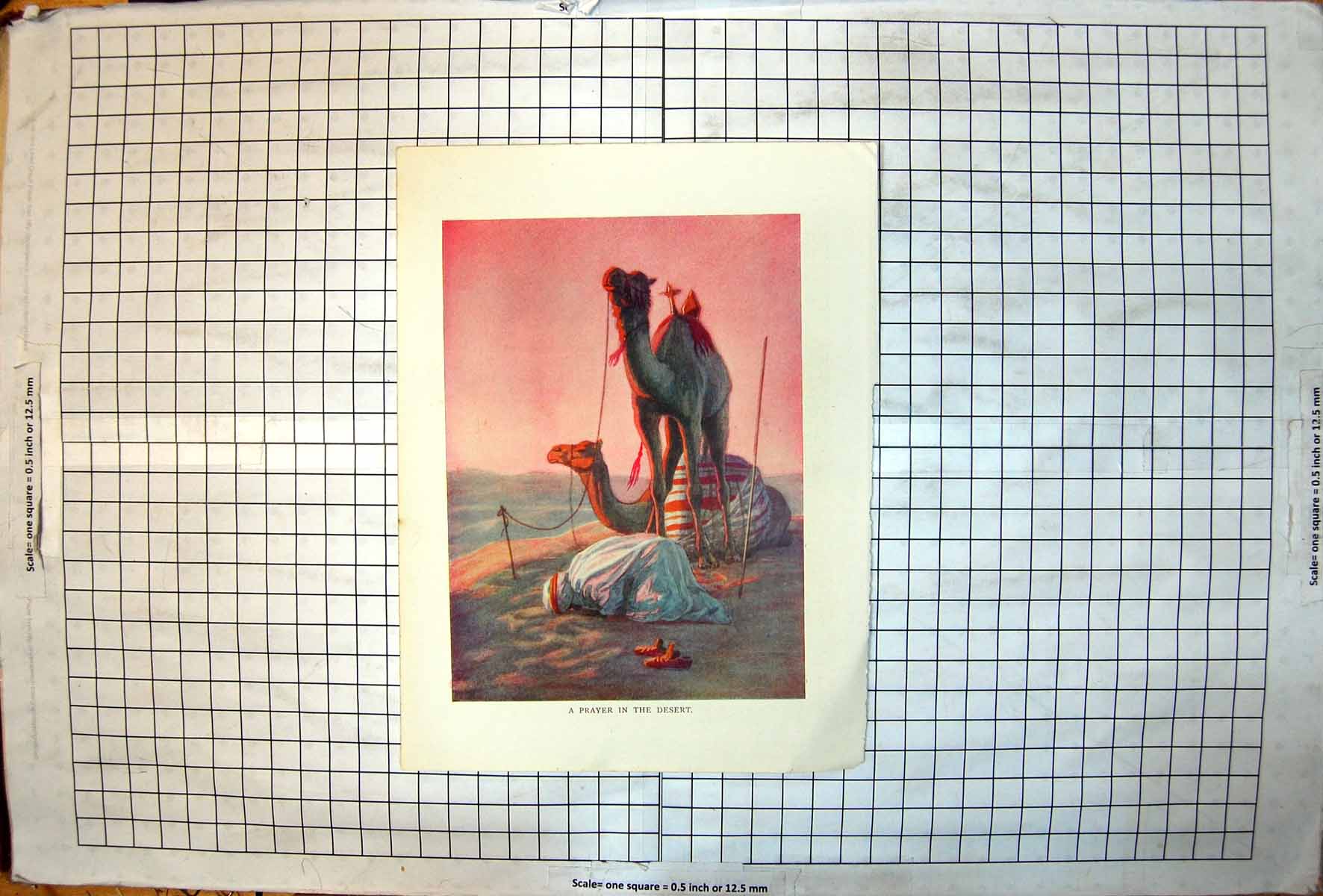 Old Print Prayer In Desert Worshipper Sandals Off Camels Tethered Colour