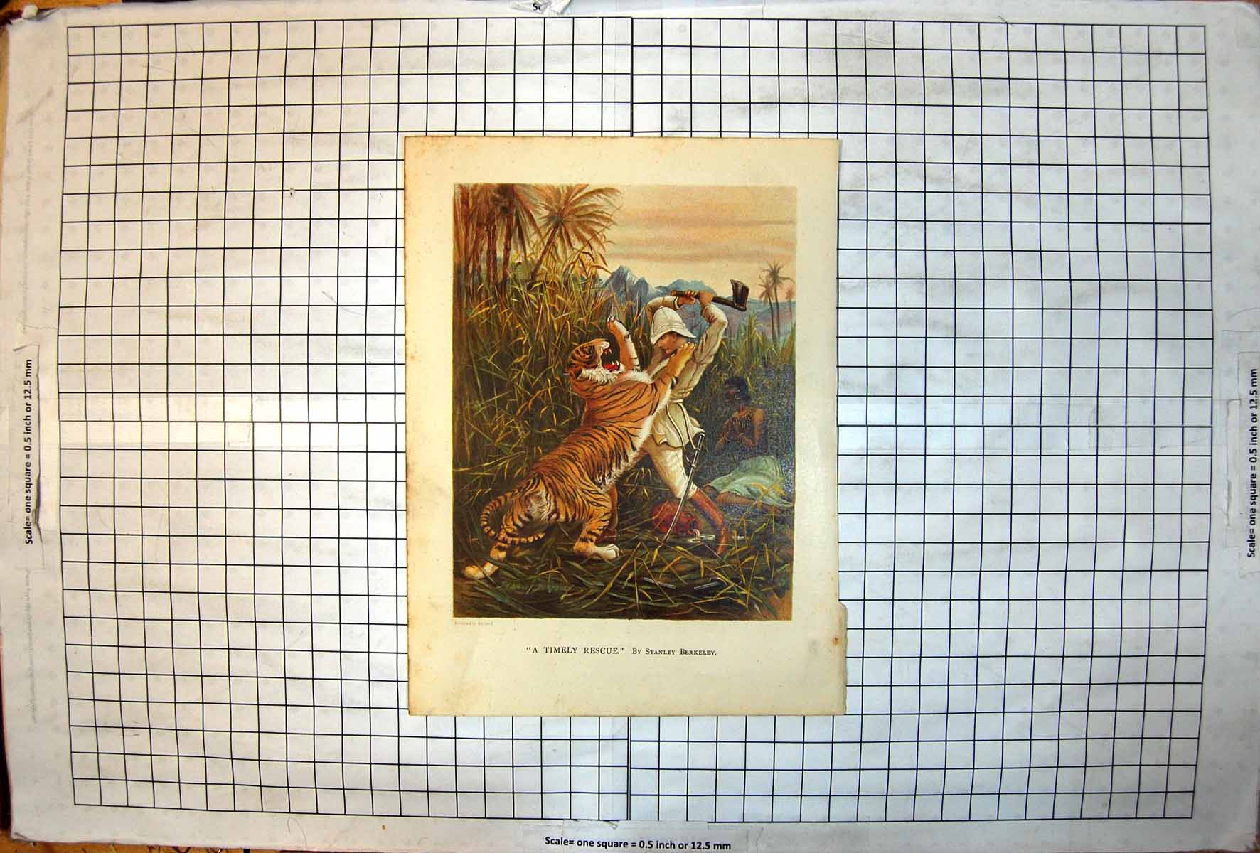 Old Timely Rescue Colour White Man Axe Tiger Native Woman S Berkeley