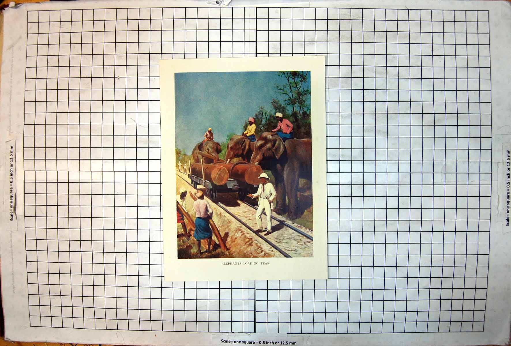 Old Print Elephants Loading Teak Onto Railway Cart White Man Natives 1915 20th