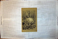 Old White Hunter Rifle Killing Tiger Woodland Black White Olive 1887 Victorian