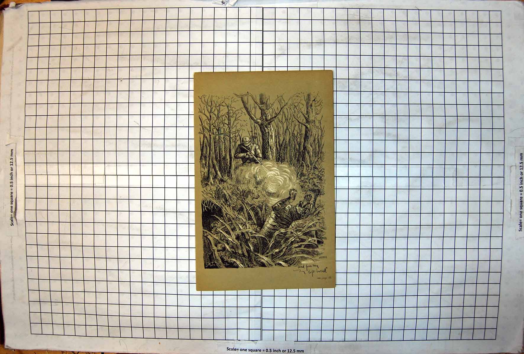 Old White Hunter Rifle Killing Tiger Woodland Black White Olive 1887 Victorian