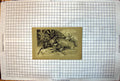Antique Old Print John Beer Tiger Killed Native White Man Sing To Rescue 1897