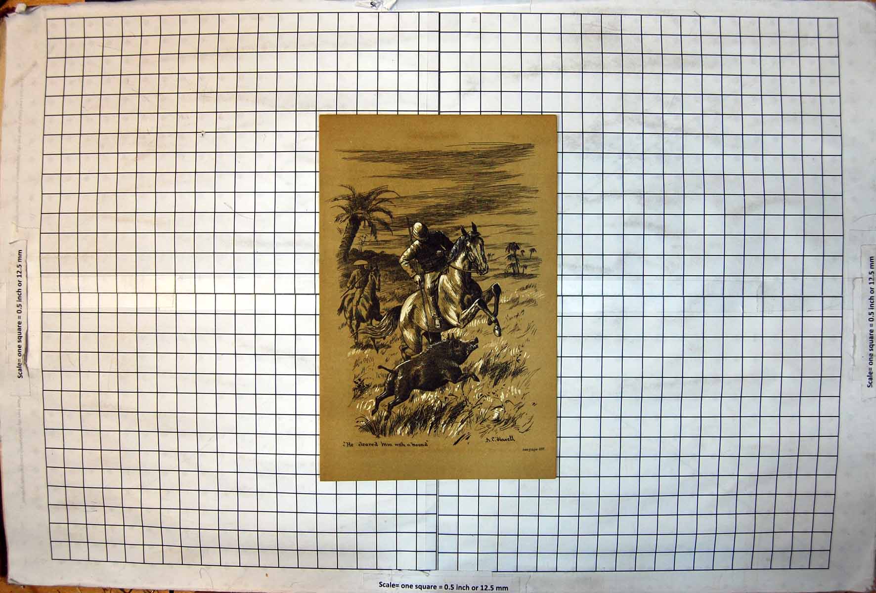 Antique Old Print Ac Howell Men Hunting Wild Boar Stabbing With Spear 1891 19th
