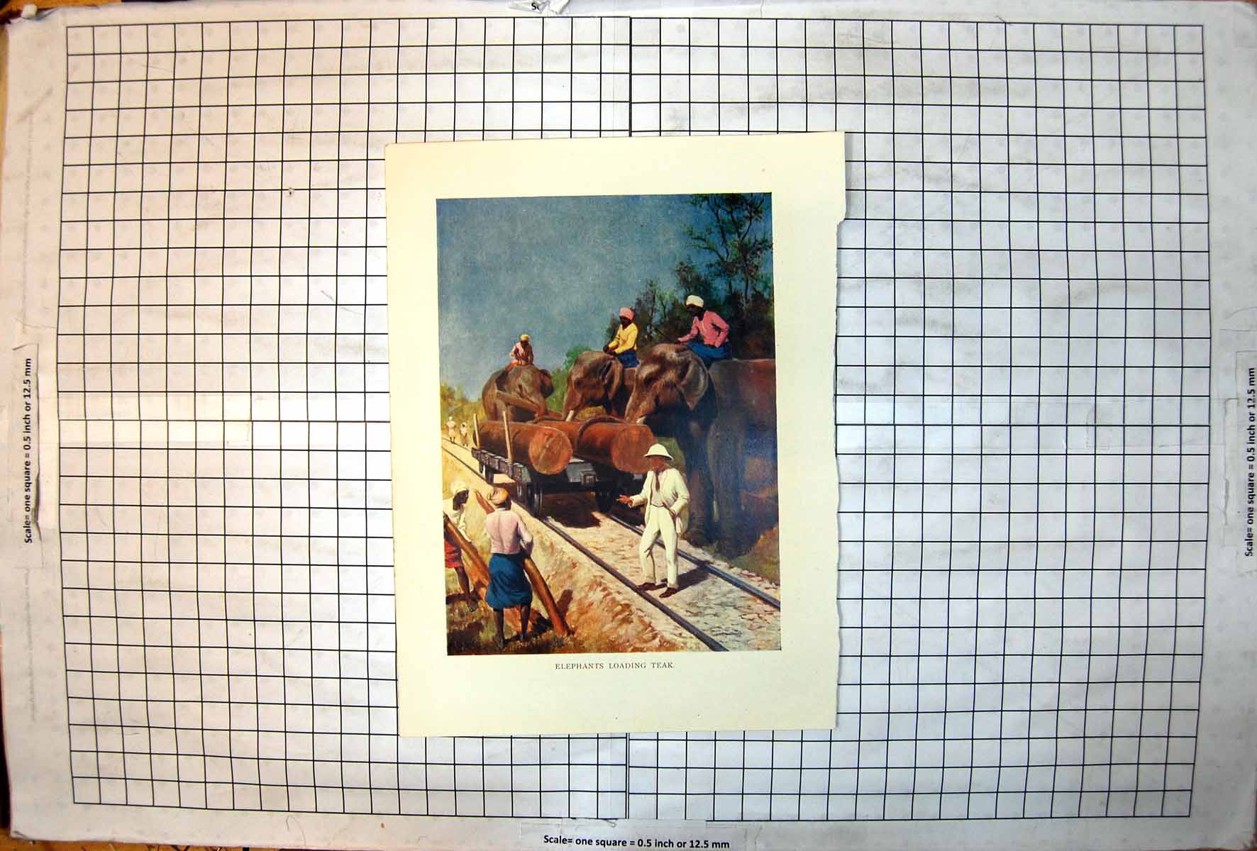 Antique Old Print Teak Being Loaded Onto Railway Carriage Elephants Colour