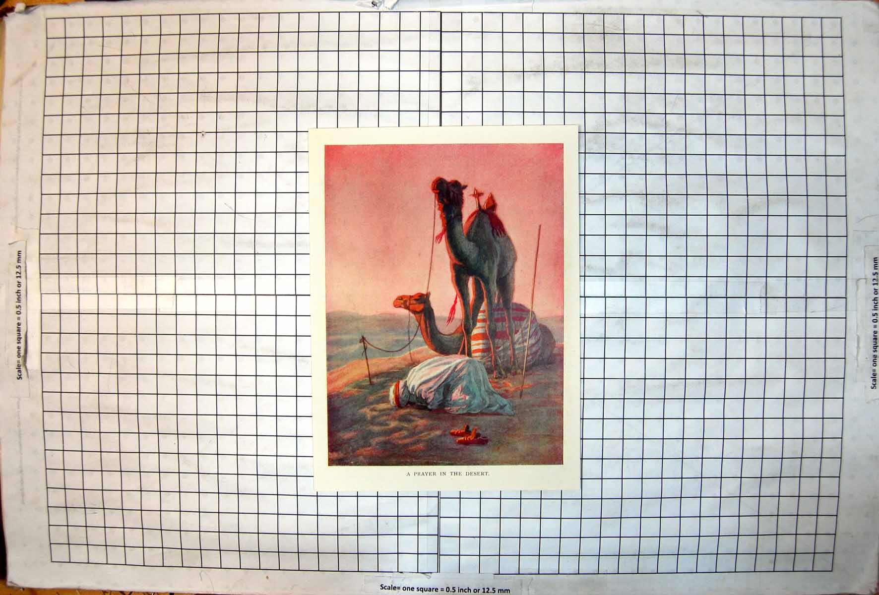 Antique Print Prayer Desert Worshipper Sandals Camels Fastened Colour 1915 20th
