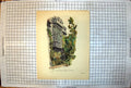 Antique Old Print St John'S College South Window Library Exterior Ivy Trees