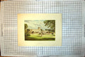 Antique Old Print Trentham Hall Perspective View Colour From Gardens Statuary