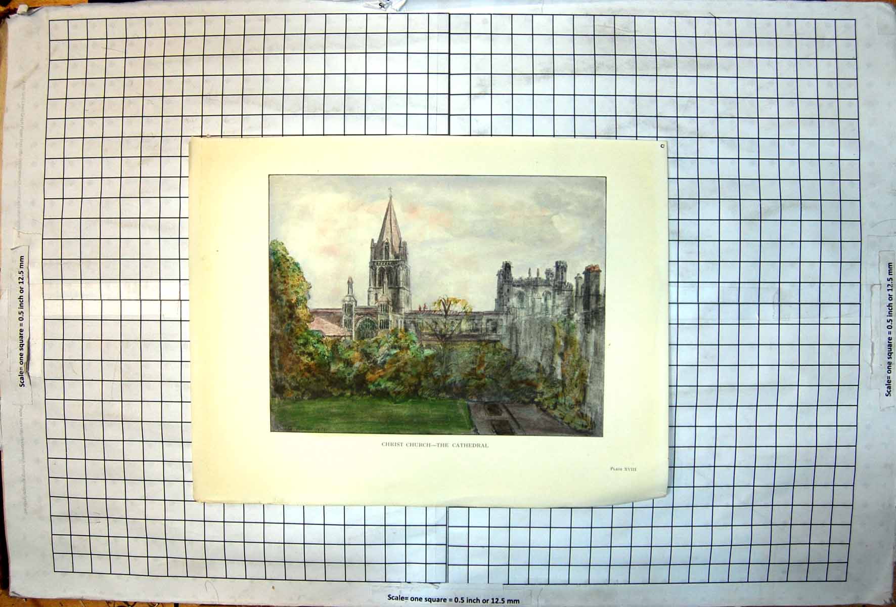 Antique Print Christ Church Cathedral Buildings Trees Windows Colour C1909 20th