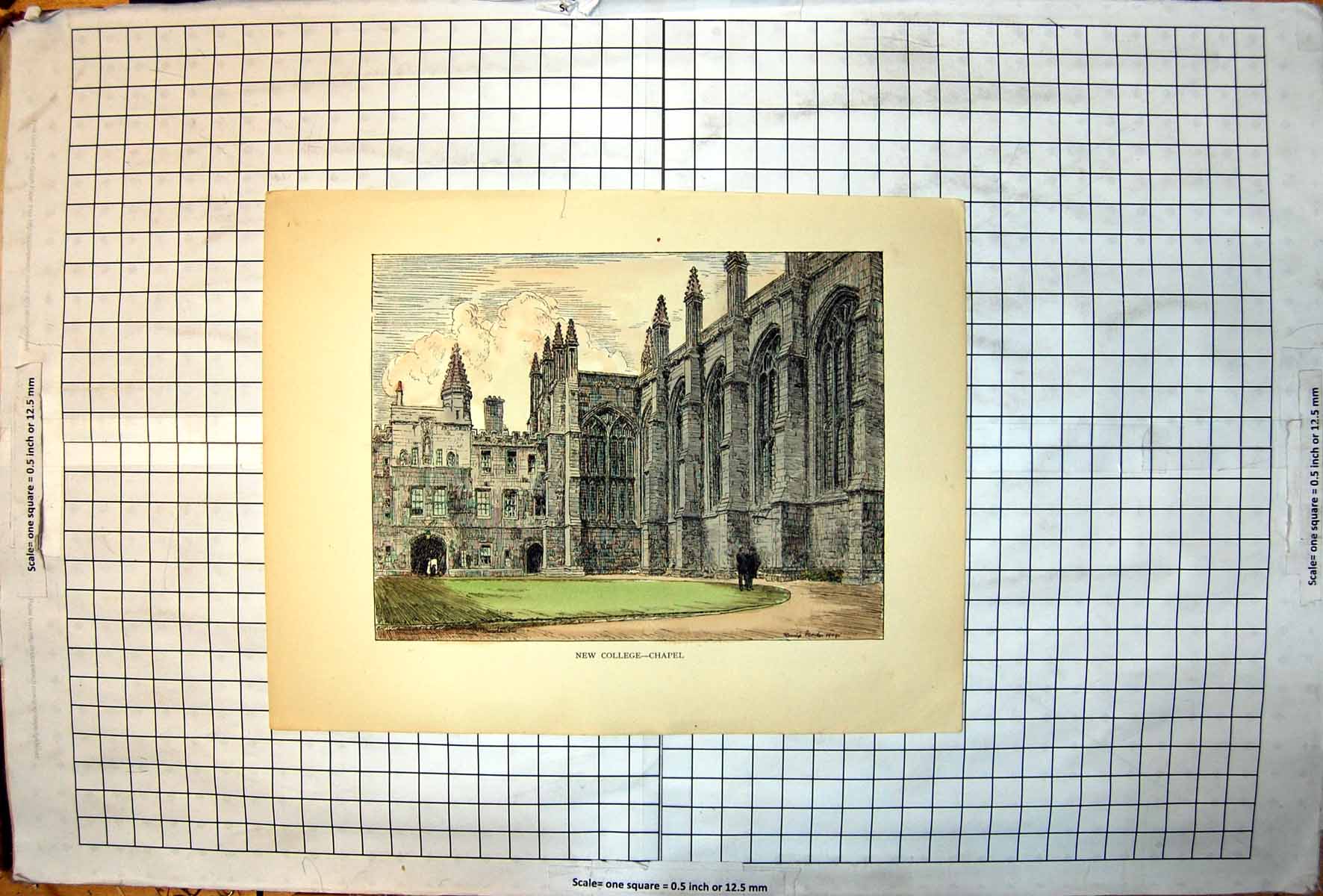 Antique Old Print New College Chapel Colour Tall Windows People Grass C1909
