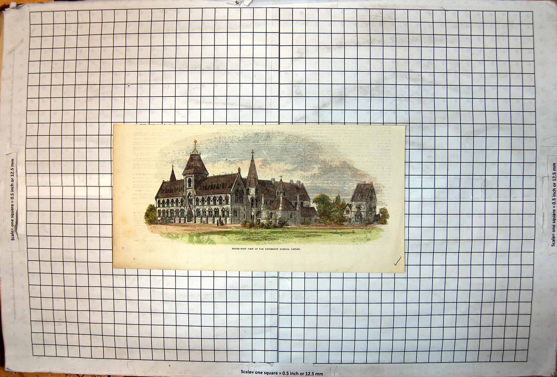 Antique Print South-West View University Museum Oxford Buildings Trees 1855
