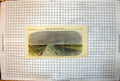 Old Sculling Match Kelly Chambers Cooper Eau Brink Cut King'S Lynn 1865 19th