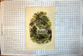 Antique Old Print Windsor Castle From Path Datchet Grey Building Flag Trees