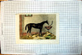 Old Print Feu-De-Joie Winner The Oaks Stable Scene Hay Horse Colour 1862 19th