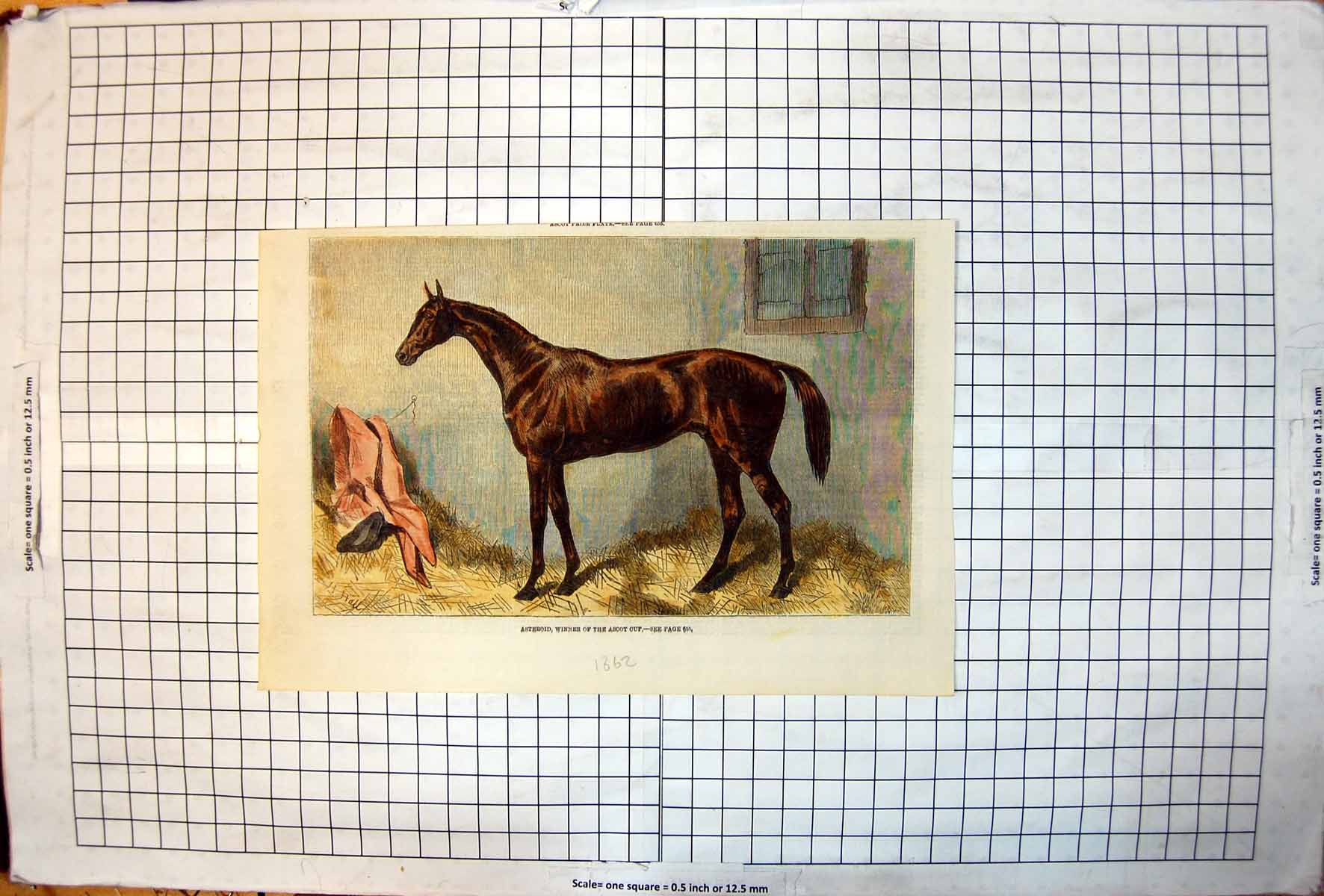 Old Asteroid Winner The Ascot Cup Stable Scene Hay Horse Colour 1862 Victorian