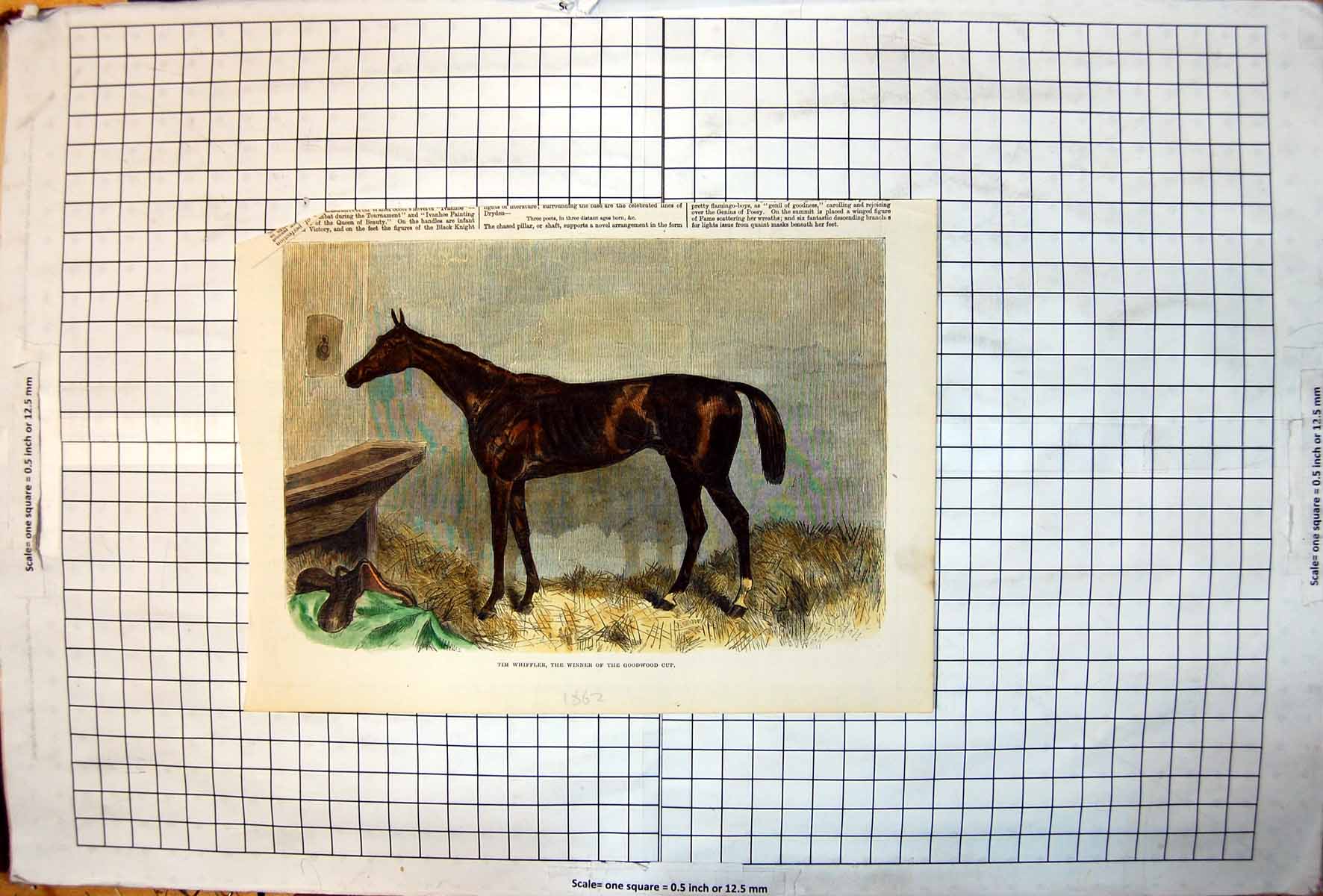 Old Print Tim Whiffler Winner Goodwood Cup Stable Scene Horse Colour 1862 19th