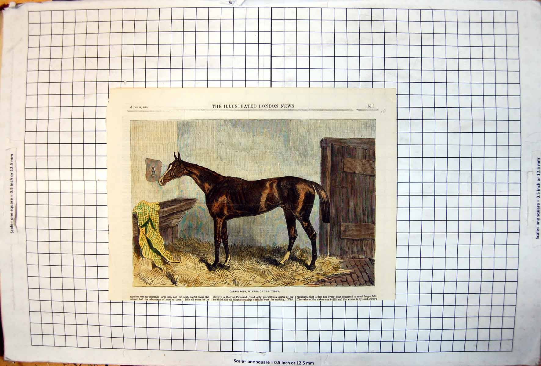 Antique Old Print Caractacus Winner Derby Stable Scene Hay Horse Colour 1862