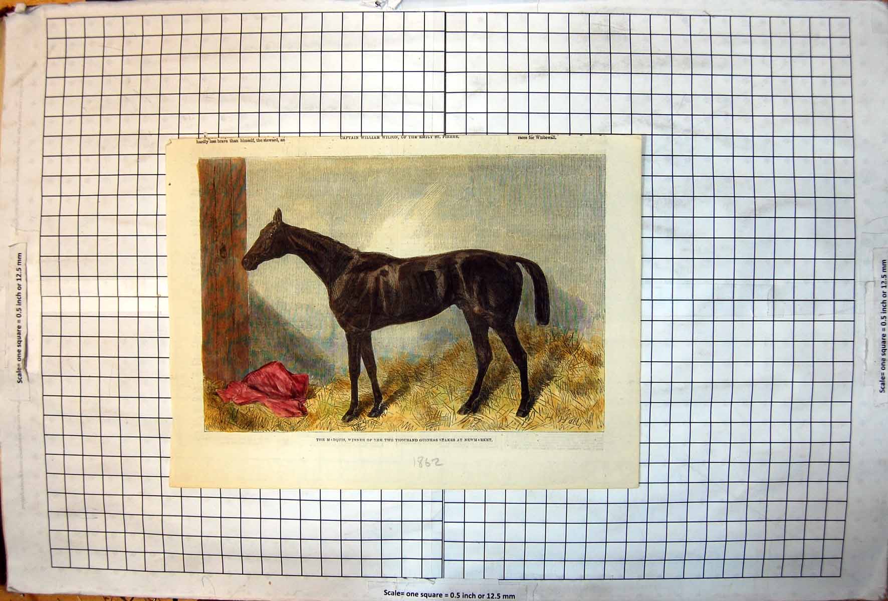 Old Print Marquis Winner Two Thousand Guineas Newmarket Stable Scene 1862 19th