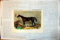 Antique Old Print Tim Whiffler Winner Goodwood Cup Stable Horse Colour 1862