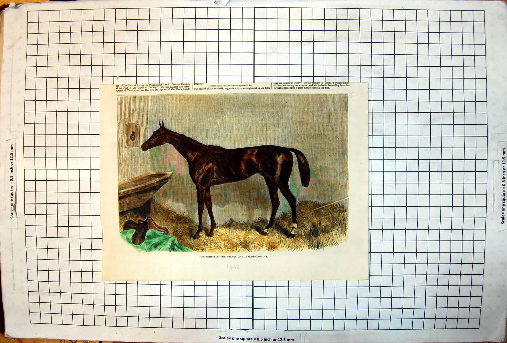 Antique Old Print Tim Whiffler Winner Goodwood Cup Stable Horse Colour 1862