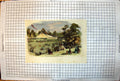 Old Horticultural Fete Tunbridge Wells Marquees Visitors Colour 1859 Victorian