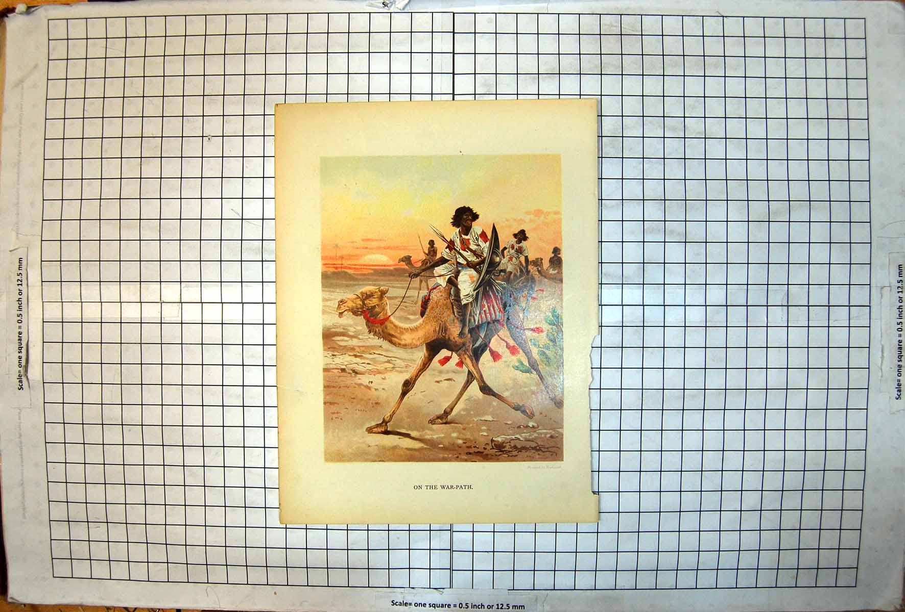 Antique Old Print On War-Path Natives Seated Camels Red Fringing Sunset Palms