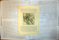 Antique Old Print Map Southampton Town River Bitterne Itchen Shirley Hythe